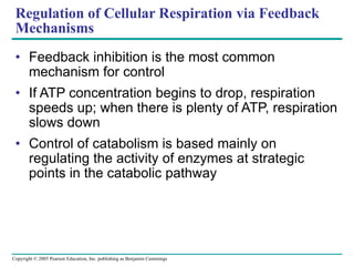 Regulation of Cellular Respiration via Feedback Mechanisms Feedback inhibition is the most common mechanism for control If ATP concentration begins to drop, respiration speeds up; when there is plenty of ATP, respiration slows down Control of catabolism is based mainly on regulating the activity of enzymes at strategic points in the catabolic pathway 