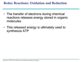 Redox Reactions: Oxidation and Reduction The transfer of electrons during chemical reactions releases energy stored in organic molecules This released energy is ultimately used to synthesize ATP 
