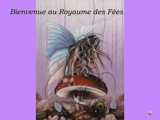 Bienvenue au Royaume des Fées 