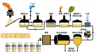 啤酒製造流程
 