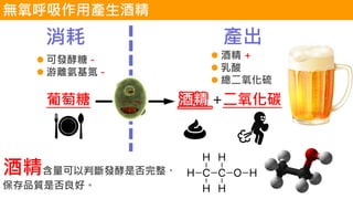 葡萄糖 酒精 +二氧化碳
⚫ 可發酵糖 -
⚫ 游離氨基氮 -
⚫ 酒精 +
⚫ 乳酸
⚫ 總二氧化硫
消耗 產出
酒精含量可以判斷發酵是否完整、
保存品質是否良好。
無氧呼吸作用產生酒精
 