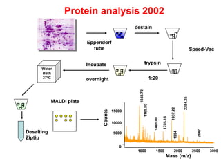 09_MALDI tof principal of mass spectrometry | PDF