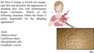 Mammary glands/ Mammary glands/ Mammary glands.pdf