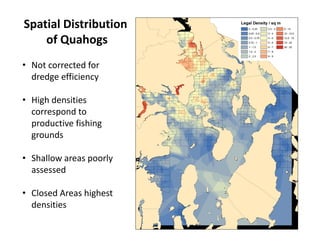 Spatial Distribution
of Quahogs
• Not corrected for 
dredge efficiency
• High densities 
correspond to 
productive fishing...