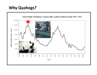 Why Quahogs?

 