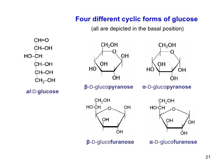 09 monosaccharides and_oligosaccharides the conversion of cyclic glucose between the alpha form and the beta form is called