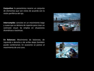 Conjuntiva:  la panorámica recorre un conjunto de elementos que son vistos de acuerdo con la visión periférica del ojo. Interrumpida:  consiste en un movimiento largo y suave que se detiene de repente para crear un contraste visual. Se emplea en situaciones dramáticas o lacónicas.  En Balanceo:  Movimiento de balanceo,   de izquierda a derecha o de arriba abajo (también puede combinarse). En ocasiones se parece al movimiento de una cuna. 