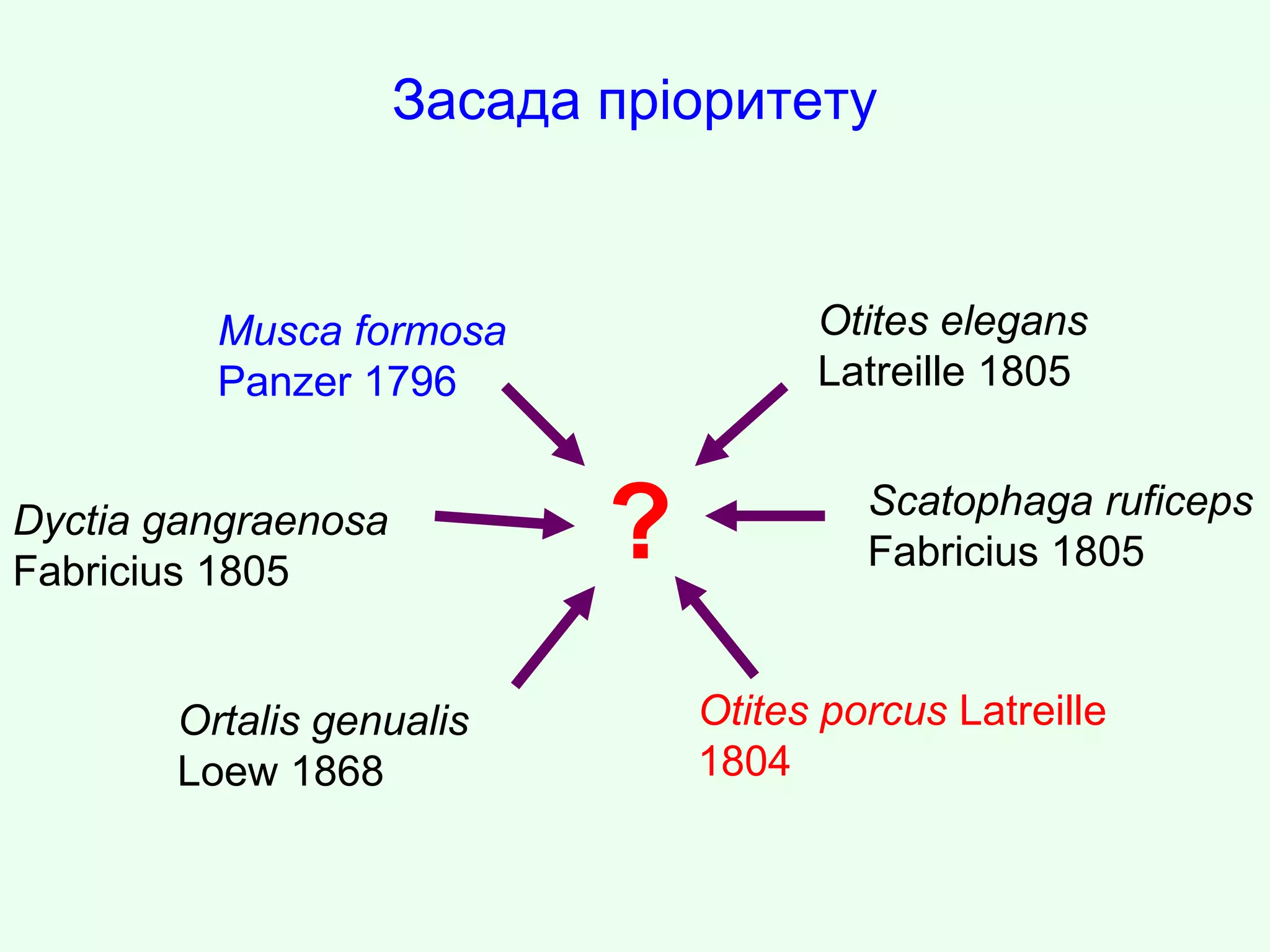 Засада пріоритету
Musca formosa
Panzer 1796
Dyctia gangraenosa
Fabricius 1805
Ortalis genualis
Loew 1868
Otites porcus Latreille
1804
Scatophaga ruficeps
Fabricius 1805
Otites elegans
Latreille 1805
?
 