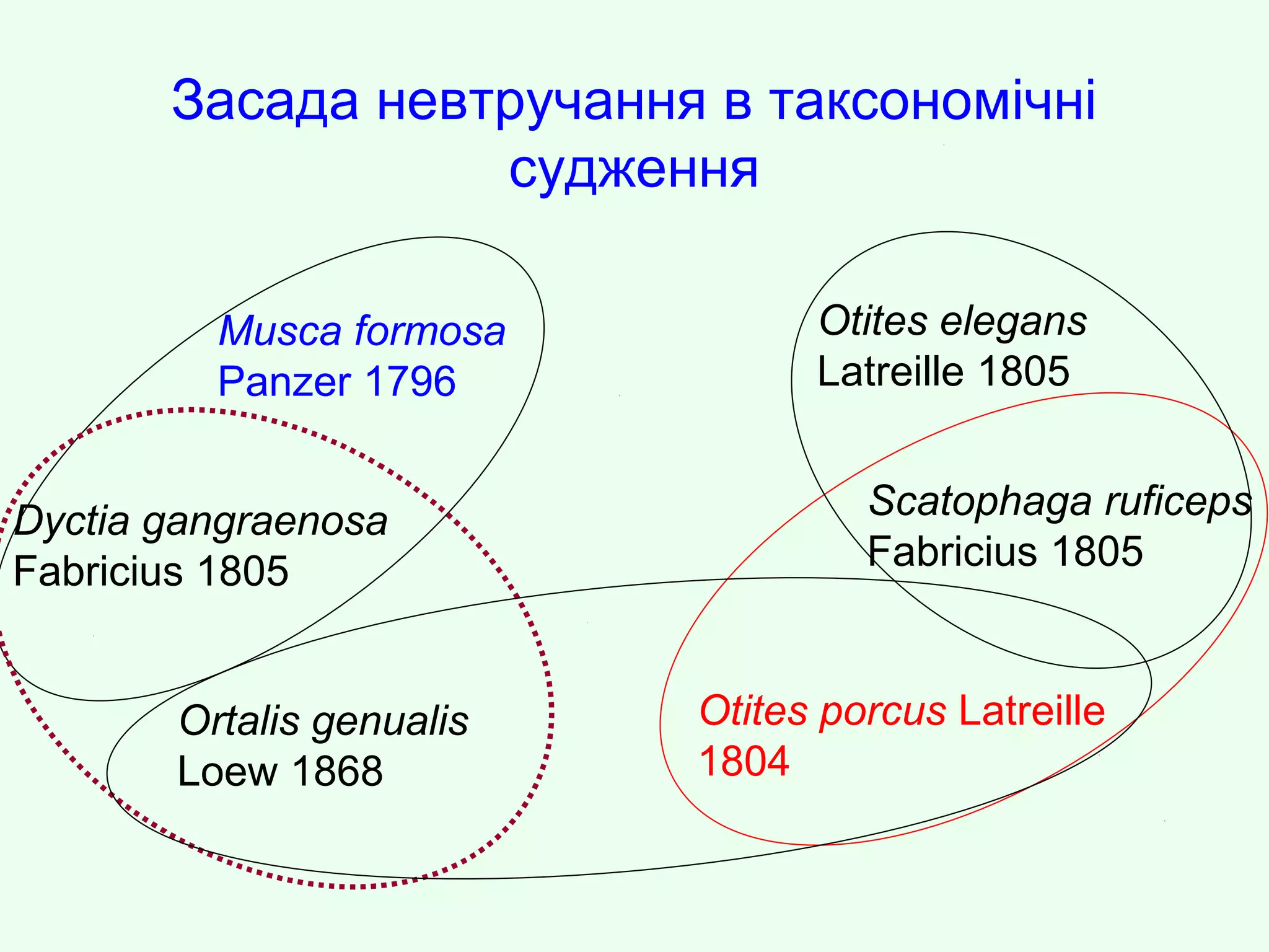 Засада невтручання в таксономічні
судження
Musca formosa
Panzer 1796
Dyctia gangraenosa
Fabricius 1805
Ortalis genualis
Loew 1868
Otites porcus Latreille
1804
Scatophaga ruficeps
Fabricius 1805
Otites elegans
Latreille 1805
 