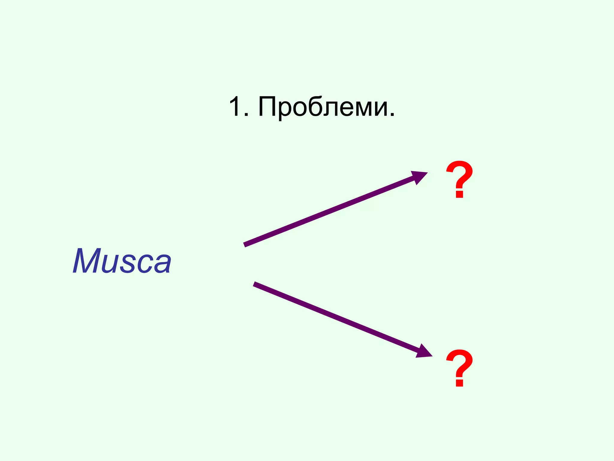 1. Проблеми.
Musca
?
?
 