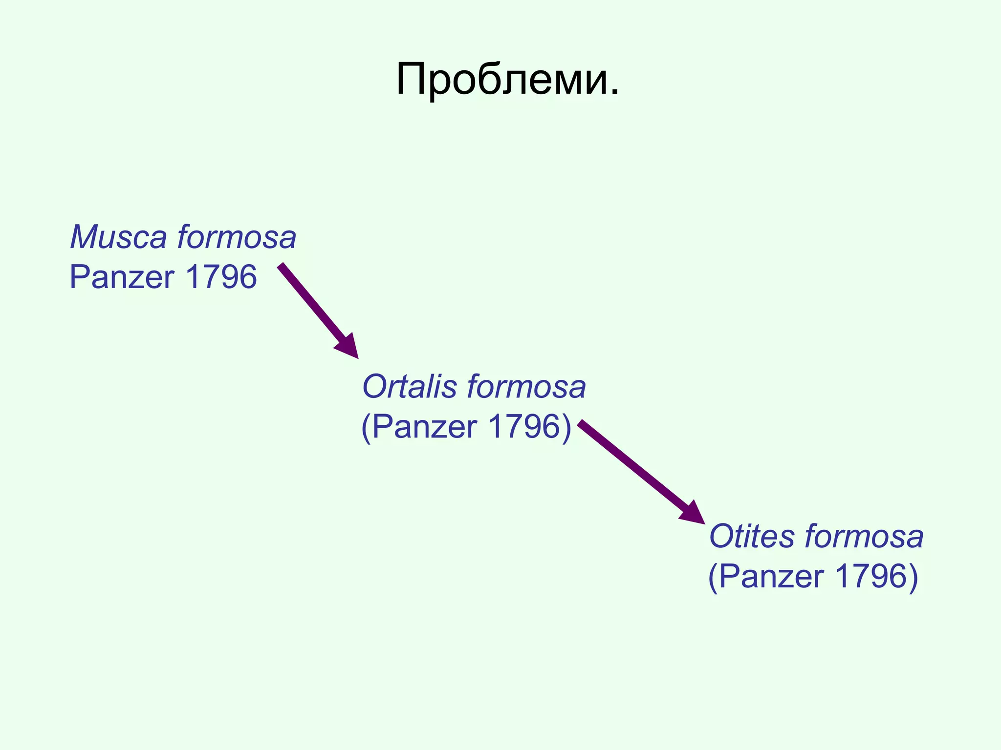 Проблеми.
Musca formosa
Panzer 1796
Ortalis formosa
(Panzer 1796)
Otites formosa
(Panzer 1796)
 