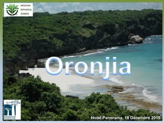 ORONJIA
Hotel Panorama, 18 Décembre 2015
 