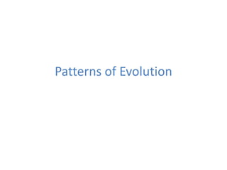 Patterns of Evolution

 