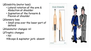 09 PECTORAL REGION AND BRACHIAL PLEXUS.pptx