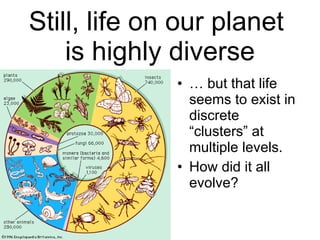 Still, life on our planet  is highly diverse <ul><li>… but that life seems to exist in discrete “clusters” at multiple lev...