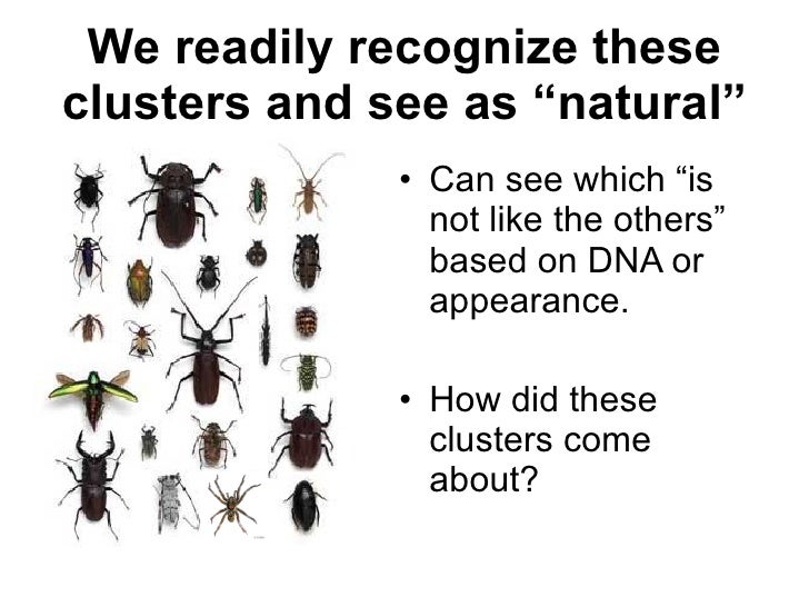 On the Origin of Species, Really