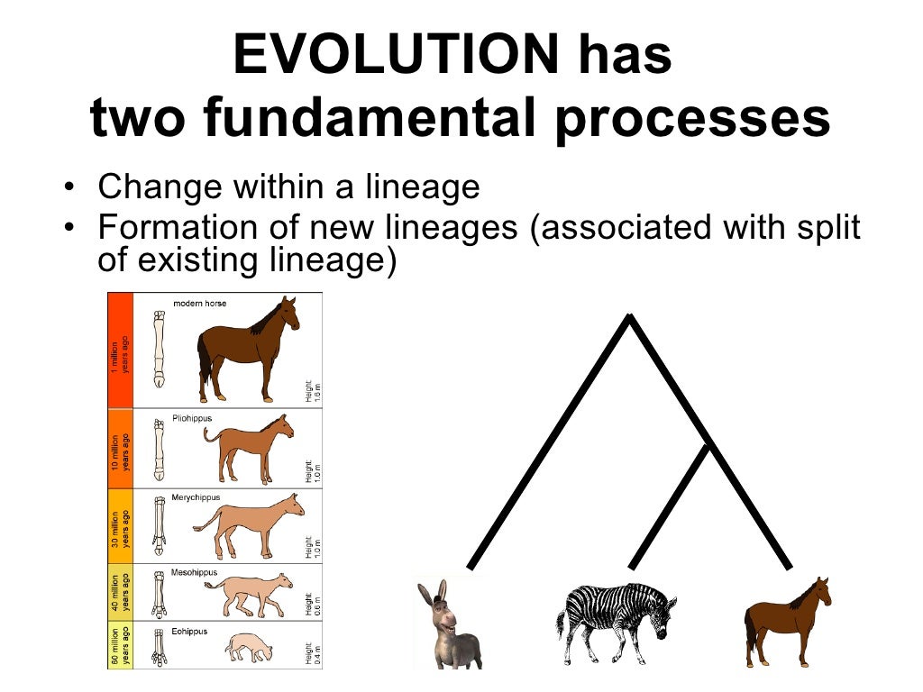 On the Origin of Species, Really