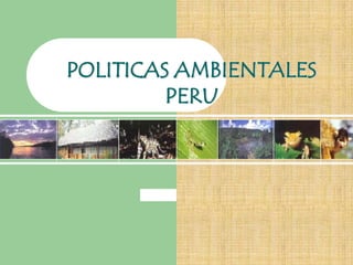 POLITICAS AMBIENTALES
         PERU
 