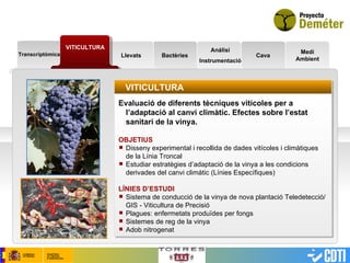 Transcriptòmica VITICULTURA Bactèries Análisi Instrumentació Cava Medi Ambient VITICULTURA Evaluació de diferents tècniques vitícoles per a  l’adaptació al canvi climàtic. Efectes sobre l’estat sanitari de la vinya. OBJETIUS Disseny experimental i recollida de dades vitícoles i climàtiques de la Línia Troncal Estudiar estratègies d’adaptació de la vinya a les condicions derivades del canvi climàtic (Línies Específiques) LÍNIES D’ESTUDI Sistema de conducció de la vinya de nova plantació Teledetecció/GIS - Viticultura de Precisió Plagues: enfermetats produïdes per fongs Sistemes de reg de la vinya Adob nitrogenat Llevats 
