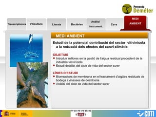 Transcriptòmica MEDI AMBIENT Llevats Bactèries Anàlisi  Instrument. Cava MEDI AMBIENT Estudi de la potencial contribució del sector  vitivinícola a la reducció dels efectes del canvi climàtic OBJETIUS Introduir millores en la gestió de l’aigua residual procedent de la indústria vitivinícola Estudi detallat del cicle de vida del sector surer LÍNIES D’ESTUDI Biorreactors de membrana en el tractament d’aigües residuals de bodega i vinasses de destil.leria Anàlisi del cicle de vida del sector surer  Viticultura 