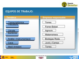 EQUIPOS DE TRABAJO: Temática Empresa responsable Transcriptòmica   Viticultura   Llevats   Bactèries   Anàlisi i Instrumentació   Cava   Medi Ambient   Torres   Ferrer-Bobet   Agrovin   Matarromera   Bodegas Roda   Juvé y Camps   Torres   Temàtica 