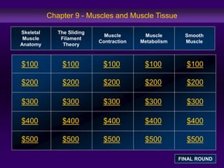 Chapter 9 - Muscles and Muscle Tissue 
$100 
$200 
$300 
$400 
$500 
$100 $100 $100 $100 
$200 $200 $200 $200 
$300 $300 $300 $300 
$400 $400 $400 $400 
$500 $500 $500 $500 
Skeletal 
Muscle 
Anatomy 
The Sliding 
Filament 
Theory 
Muscle 
Contraction 
Muscle 
Metabolism 
Smooth 
Muscle 
FINAL ROUND 
 