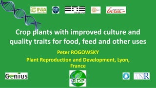 Crop plants with improved culture and
quality traits for food, feed and other uses
Peter ROGOWSKY
Plant Reproduction and Development, Lyon,
France
 