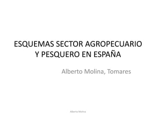 ESQUEMAS SECTOR AGROPECUARIO
Y PESQUERO EN ESPAÑA
Alberto Molina, Tomares

Alberto Molina

 
