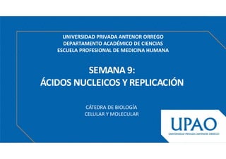 SEMANA 9:
ÁCIDOS NUCLEICOS Y REPLICACIÓN
CÁTEDRA DE BIOLOGÍA
CELULAR Y MOLECULAR
UNIVERSIDAD PRIVADA ANTENOR ORREGO
DEPARTAMENTO ACADÉMICO DE CIENCIAS
ESCUELA PROFESIONAL DE MEDICINA HUMANA
 