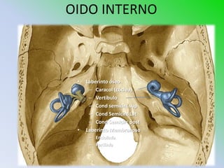 OIDO INTERNO



 •   Laberinto óseo
      – Caracol (cóclea)
      – Vertíbulo
      – Cond semicirc sup
      – Cond Semicirc Lat
      – Cond Semicirc post
 •   Laberinto Membranoso
      – Endolinfa
      – Perilinfa
 