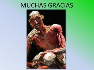 MUCHAS GRACIAS
 