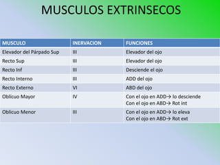 MUSCULOS EXTRINSECOS

MUSCULO                    INERVACION   FUNCIONES
Elevador del Párpado Sup   III          Elevador del ojo
Recto Sup                  III          Elevador del ojo
Recto Inf                  III          Desciende el ojo
Recto Interno              III          ADD del ojo
Recto Externo              VI           ABD del ojo
Oblícuo Mayor              IV           Con el ojo en ADD→ lo desciende
                                        Con el ojo en ABD→ Rot int
Oblicuo Menor              III          Con el ojo en ADD→ lo eleva
                                        Con el ojo en ABD→ Rot ext
 