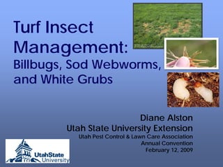 Turf
T rf Insect
Management:
Billbugs, Sod Webworms,
and White Grubs


                          Diane Alston
        Utah State University Extension
          Utah Pest Control & Lawn Care Association
                                 Annual Convention
                                  February 12, 2009
 