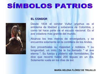 SÍMBOLOS PATRIOS EL CONDOR   Desde 1834 el cóndor Vultur gryphus es el emblema de libertad y soberanía de Colombia, y como tal hace parte de el escudo nacional. Es el ave voladora más grande del mundo.    Alcanza los tres metros de envergadura, y se encuentra solamente en la cordillera de los Andes.   Son proverbiales su majestad y nobleza. Y su longevidad, un mito. Se le ha llamado " el ave eterna ". Su fuerza y poderío son formidables. Se dice que recorre hasta 200 leguas en un día. Solamente vuela en los días de sol.  MARÍA HELENA FLÓREZ DE TRUJILLO 