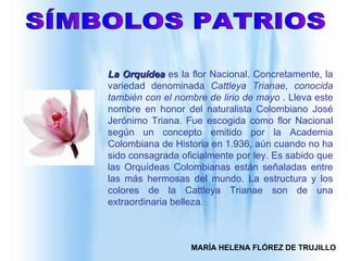 SÍMBOLOS PATRIOS La Orquídea  es la flor Nacional. Concretamente, la variedad denominada  Cattleya Trianae ,  conocida también con el nombre de lirio de mayo   . L l eva este nombre en honor del naturalista Colombiano José Jerónimo Triana. Fue escogida como flor Nacional según un concepto emitido por la Academia Colombiana de Historia en 1.936, aún cuando no ha sido consagrada oficialmente por ley. Es sabido que las Orquídeas Colombianas están señaladas entre las más hermosas del mundo. La estructura y los colores de la Cattleya Trianae son de una extraordinaria belleza.  MARÍA HELENA FLÓREZ DE TRUJILLO 