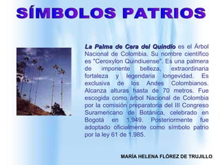 SÍMBOLOS PATRIOS La Palma de Cera del Quindío  es el Árbol Nacional de Colombia. Su nombre científico es "Ceroxylon Quindiuense". Es una palmera de imponente belleza, extraordinaria fortaleza y legendaria  longevidad . Es exclusiva de los Andes Colombianos. Alcanza alturas hasta de 70 metros. Fue escogida como árbol Nacional de Colombia por la comisión preparatoria del III Congreso Suramericano de Botánica, celebrado en Bogotá en 1.949. Posteriormente fue adoptado oficialmente como símbolo patrio por la ley 61 de 1.985.   MARÍA HELENA FLÓREZ DE TRUJILLO 