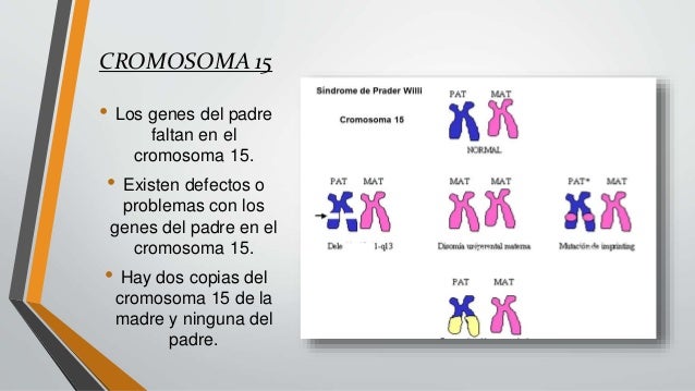 DOENÇAS NEURODEGENERATIVAS: DOENÇA DE PARKINSON E ...