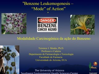 “Benzene Leukemogenesis –
       “Mode” of Action”
                       ”




Modalidade Carcinogénica da ação do Benzeno

              Terrence J. Monks, Ph.D.
                 Professor e Cadeira
      Departmento de Farmacologia e Toxicologia
               Faculdade de Farmacia
            Universidade do Arizona, EUA
 
