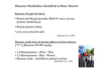 Benzene Metabolites Identified in Bone Marrow

Benzene (50 ppm for 6hrs):
• Phenol and HQ glucuronides (B63CF1 mice, not rats
  [urinary metabolites]).
• Phenol/catechol sulfate
• trans,trans-muconic acid.
                                      (Sabourin et al., 1988).


Benzene oxide-derived protein adducts in bone marrow:
[14C13C6]Benzene (50-400 mg/kg)

• 1,4-Benzoquinone - (Mice > Rat)
• 1,2-Benzoquinone - (Rat > Mouse)
• Benzene oxide – identified as phenyl cysteine.
                                   (McDonald et al., 1994)
 