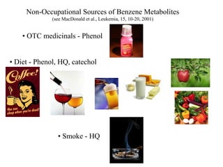 Non-Occupational Sources of Benzene Metabolites
              (see MacDonald et al., Leukemia, 15, 10-20, 2001)


    • OTC medicinals - Phenol


• Diet - Phenol, HQ, catechol




                • Smoke - HQ
 
