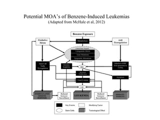 Potential MOA’s of Benzene-Induced Leukemias
          (Adapted from McHale et al, 2012)
 