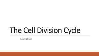 The Cell Division Cycle
Alena Prašnická
 