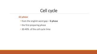 Cell cycle
G1 phase
• from the english word gap – G phase
• the first preparing phase
• 30-40% of the cell cycle time
 