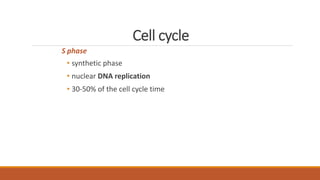 Cell cycle
S phase
• synthetic phase
• nuclear DNA replication
• 30-50% of the cell cycle time
 