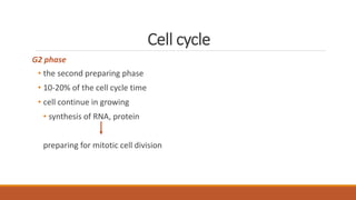Cell cycle
G2 phase
• the second preparing phase
• 10-20% of the cell cycle time
• cell continue in growing
• synthesis of RNA, protein
preparing for mitotic cell division
 