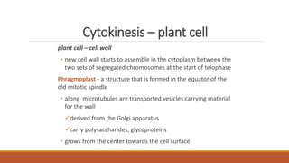 Cytokinesis – plant cell
plant cell – cell wall
• new cell wall starts to assemble in the cytoplasm between the
two sets of segregated chromosomes at the start of telophase
Phragmoplast - a structure that is formed in the equator of the
old mitotic spindle
• along microtubules are transported vesicles carrying material
for the wall
derived from the Golgi apparatus
carry polysaccharides, glycoproteins
• grows from the center towards the cell surface
 