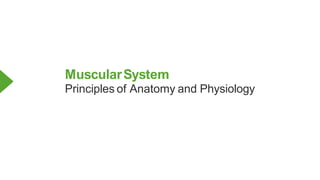 MuscularSystem
Principles of Anatomy and Physiology
 