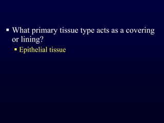 What primary tissue type acts as a covering or lining? Epithelial tissue 