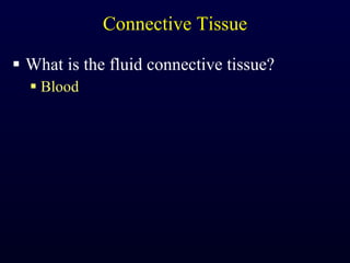 Connective Tissue What is the fluid connective tissue? Blood 