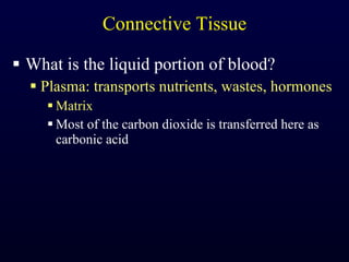 Connective Tissue What is the liquid portion of blood? Plasma: transports nutrients, wastes, hormones Matrix Most of the carbon dioxide is transferred here as carbonic acid 